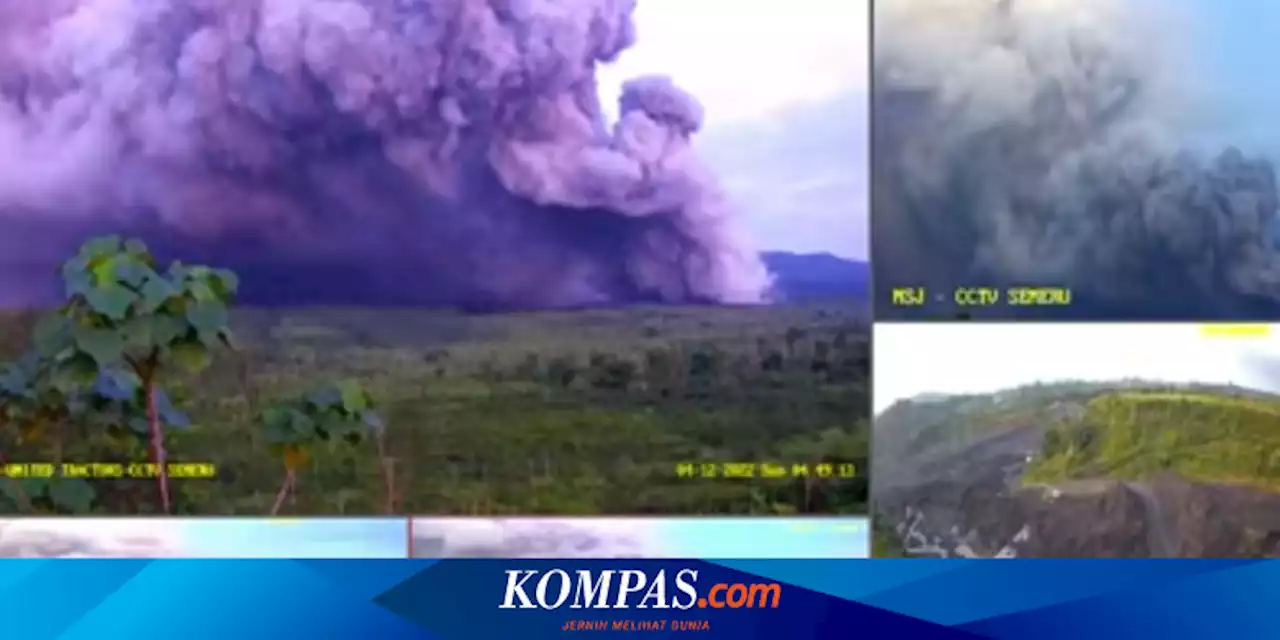 Jepang Cabut Peringatan Tsunami yang Dipicu Gunung Semeru Erupsi