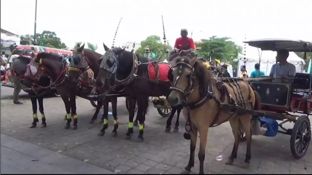 Penampakan 12 Kereta dan 28 Ekor Kuda Bakal Meriahkan Kirab Pernikahan Kaesang-Erina di Solo