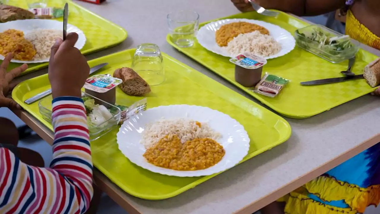 [VIDEO] Enfant autiste de 10 ans exclu de la cantine à Lyon : ce que l'on sait sur cette décision qui choque