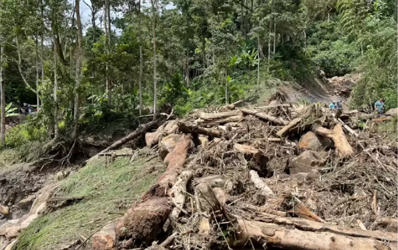 Por deslizamiento en la vía Risaralda - Chocó varios vehículos quedaron sepultados