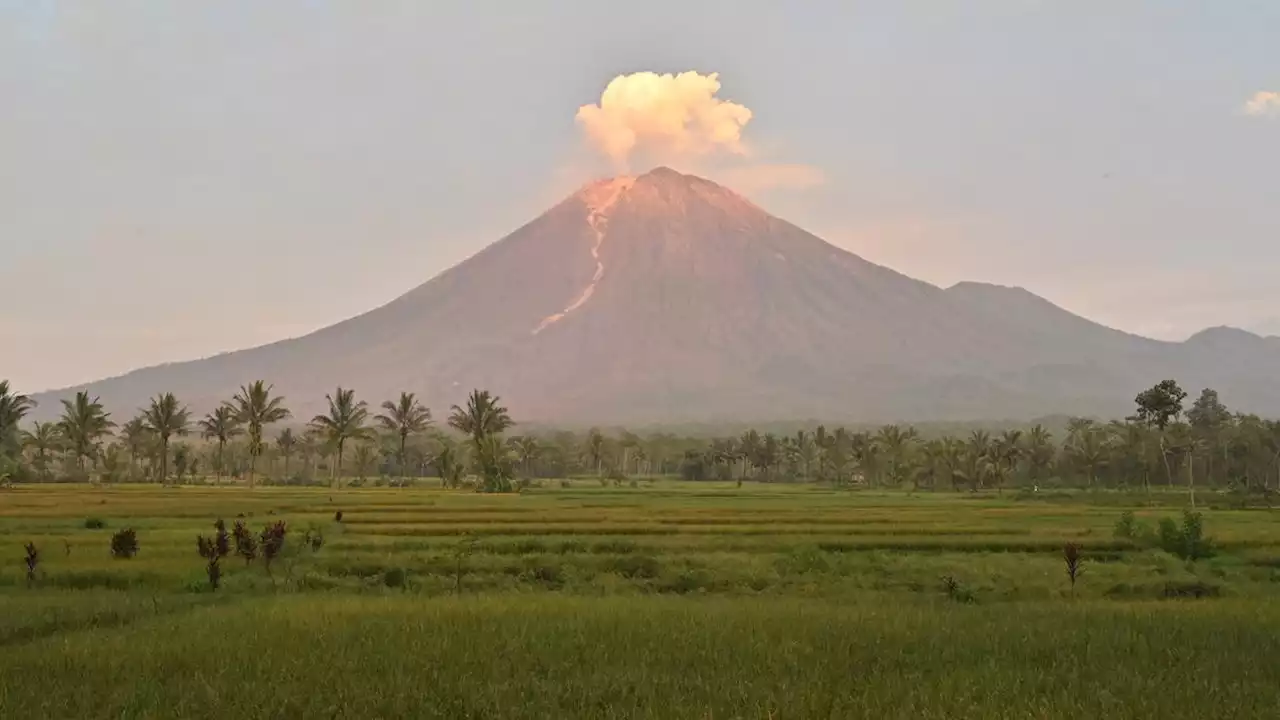 Gunung Semeru Erupsi, Airnav Terbitkan Notam Peringatan untuk Bandara Juanda dan Abdurahman Saleh