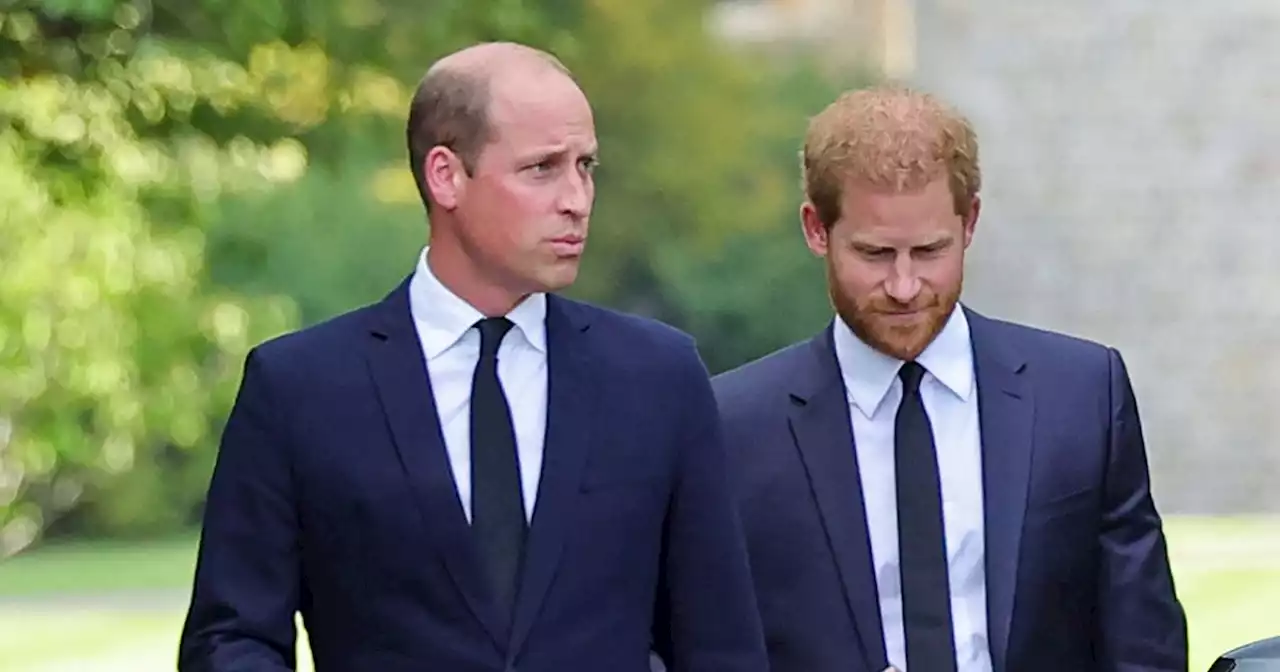 Prince Harry and William show rare unity ahead of Netflix documentary