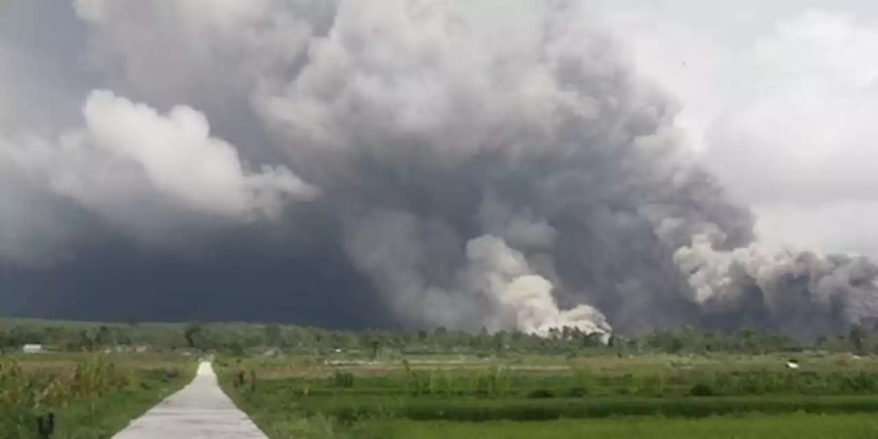 BNPB: 1.979 Jiwa Mengungsi Akibat Erupsi Gunung Semeru | merdeka.com