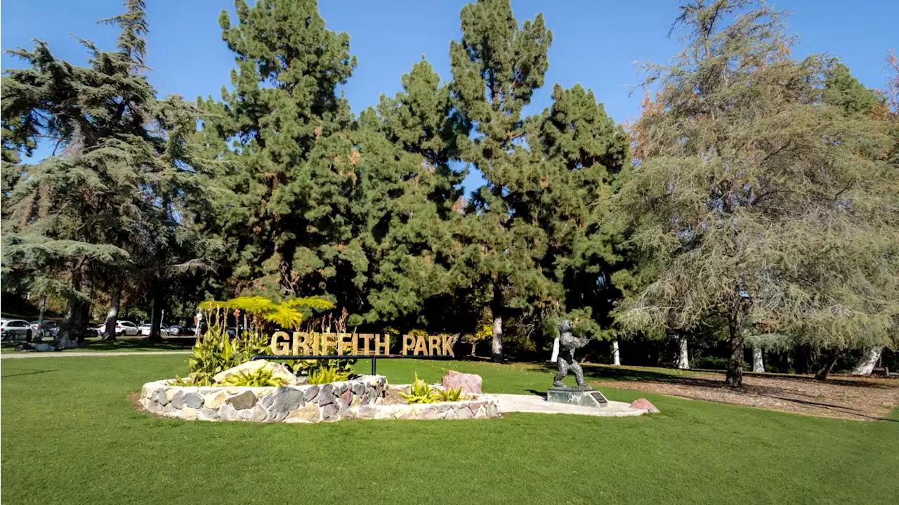 Historical Tradition: Griffith Park's Pony Rides Coming to an End