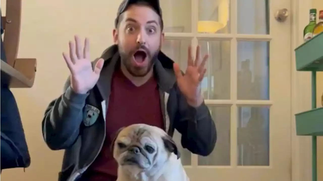 TikTok star Noodle the pug dies at age 14