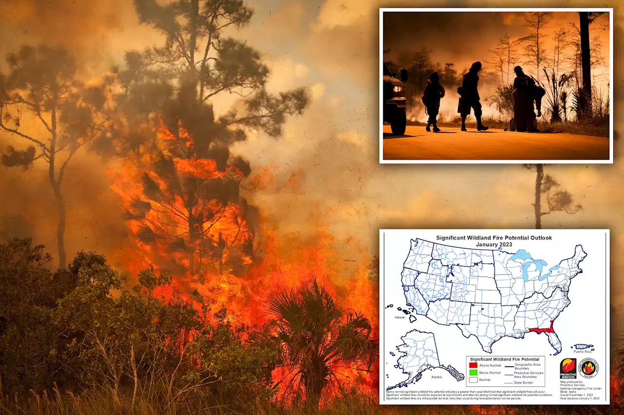 Florida expected to be hotbed for wildfires in early 2023