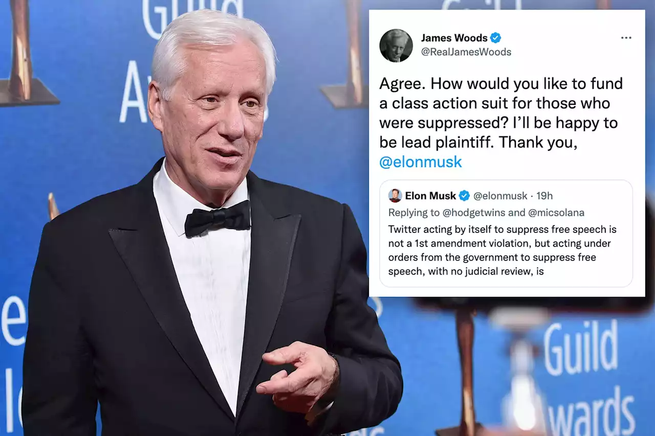 James Woods vows to sue Twitter, Democrats for censoring him online