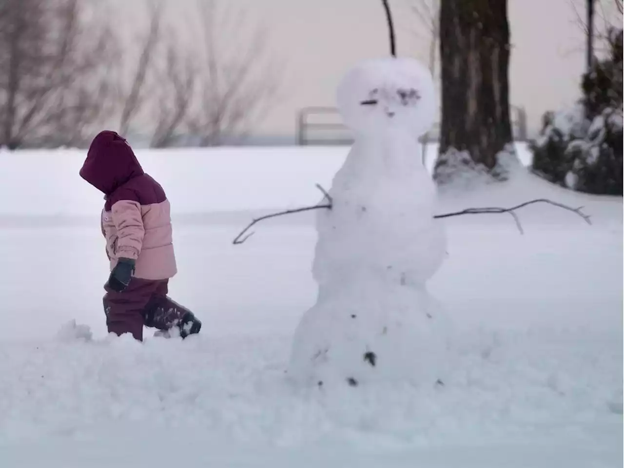 If these snowmen could talk: The great snowpeople of history