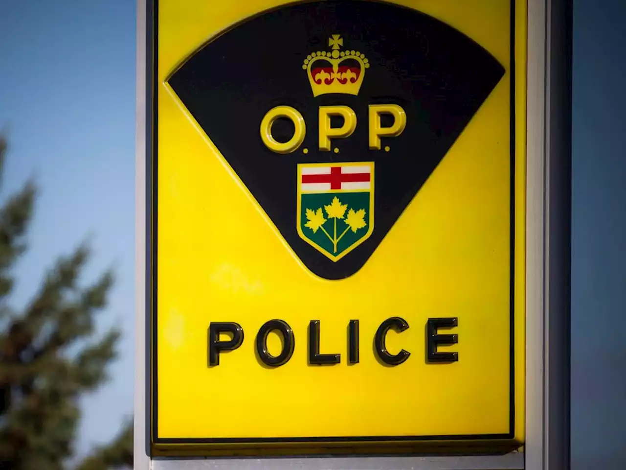 One dead after vehicle rollover on Highway 401 near Ingleside