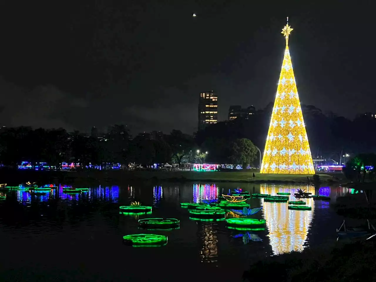 Árvore de Natal da cidade é inaugurada no Parque Ibirapuera