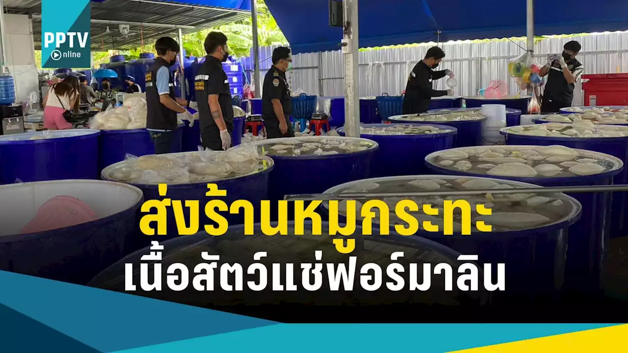 บุกยึด “เนื้อสัตว์แช่ฟอร์มาลิน” ส่งขายร้านหมูกระทะ-อาหารอีสาน 66 แห่ง