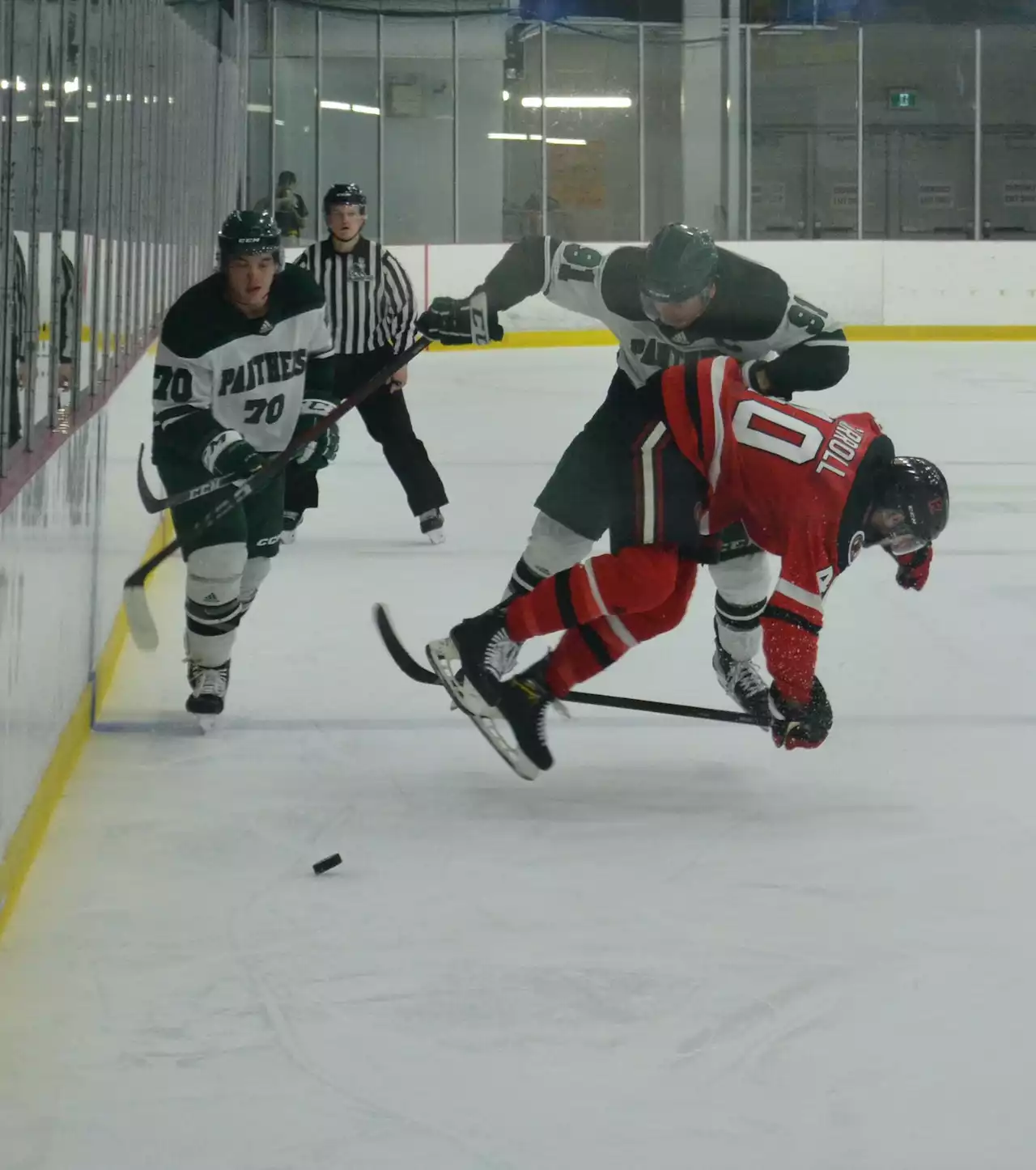 UNB Reds, UPEI Panthers do not disappoint in anticipated showdown | SaltWire