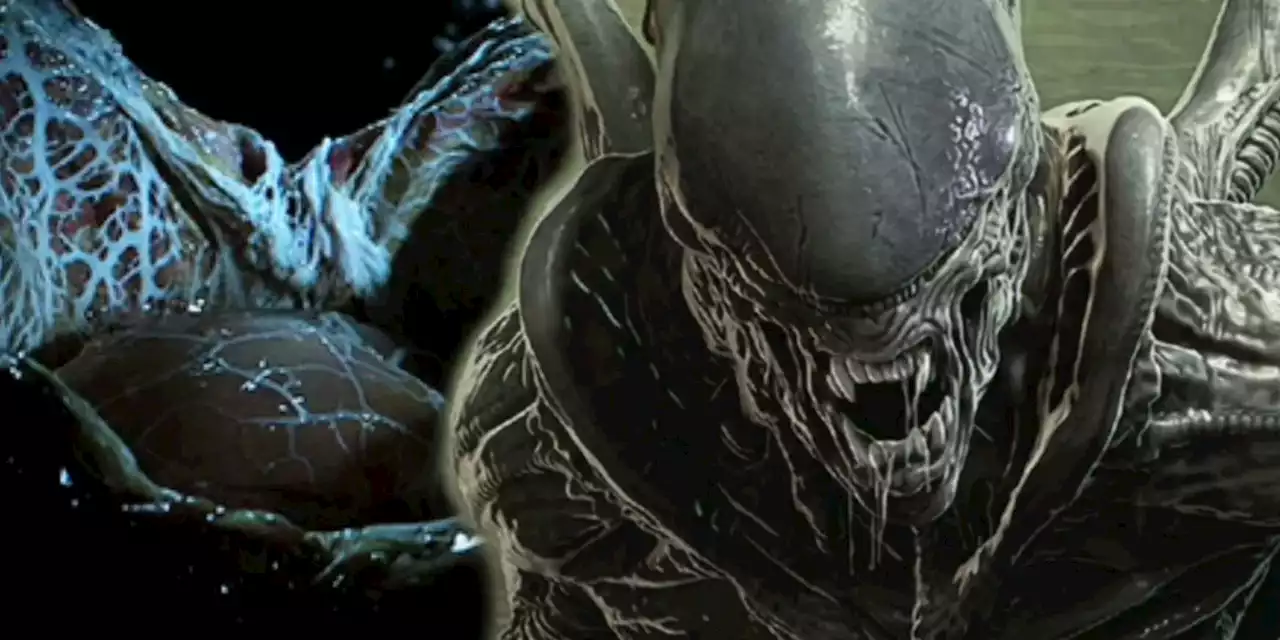 Alien Explains the Repulsive Science Behind Xenomorph Eggs