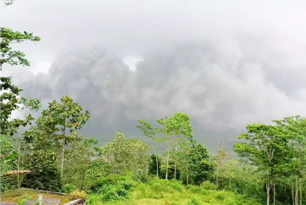 Dampak Erupsi Semeru, 2.219 Warga Mengungsi