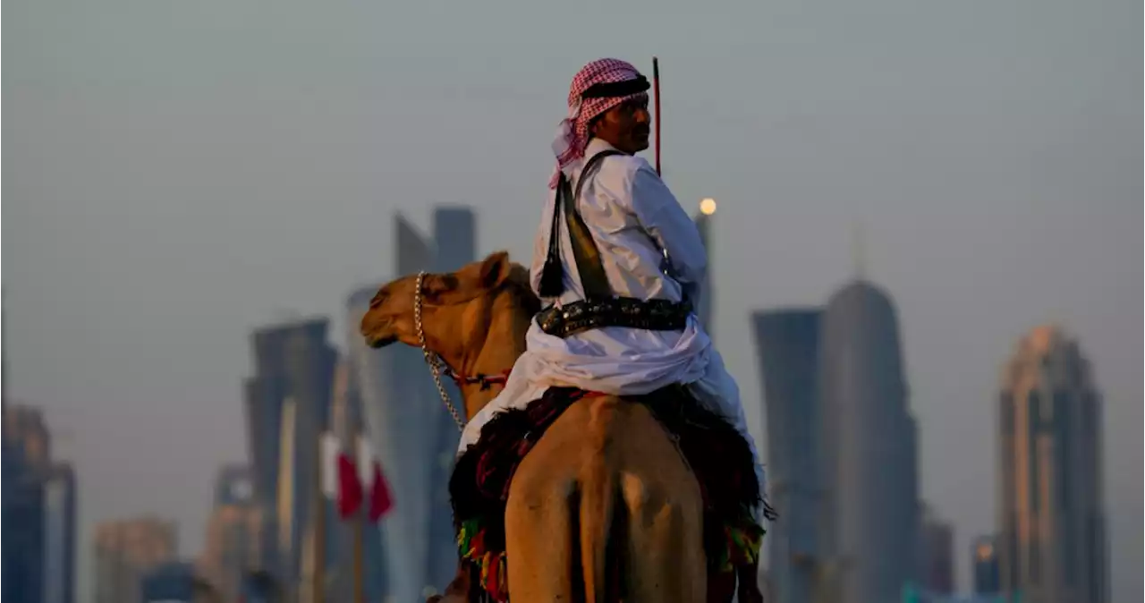 Los camellos son explotados en Qatar para entretener turistas, muchos mexicanos