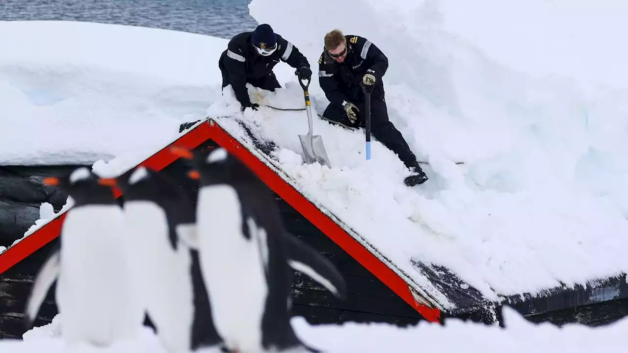 Royal Navy helps dig out world's most remote post office in Antarctic after 4m deluge of snow