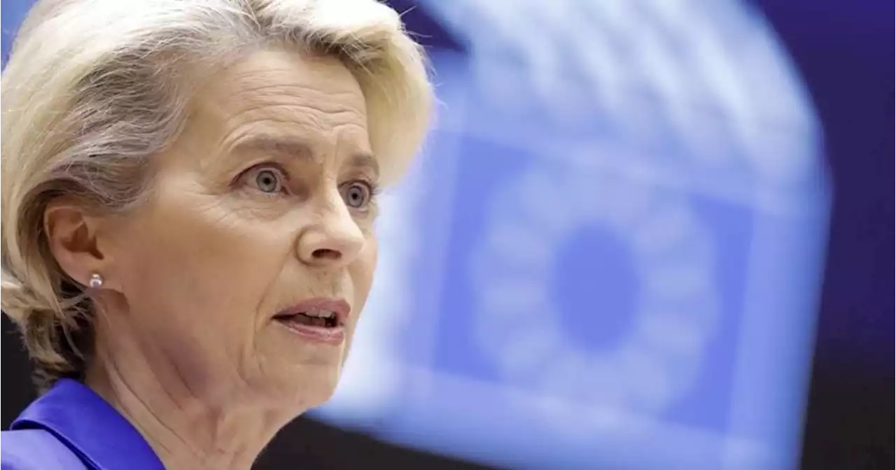 Von der Leyen: sussidi green degli Usa creano concorrenza sleale, Ue risponderà