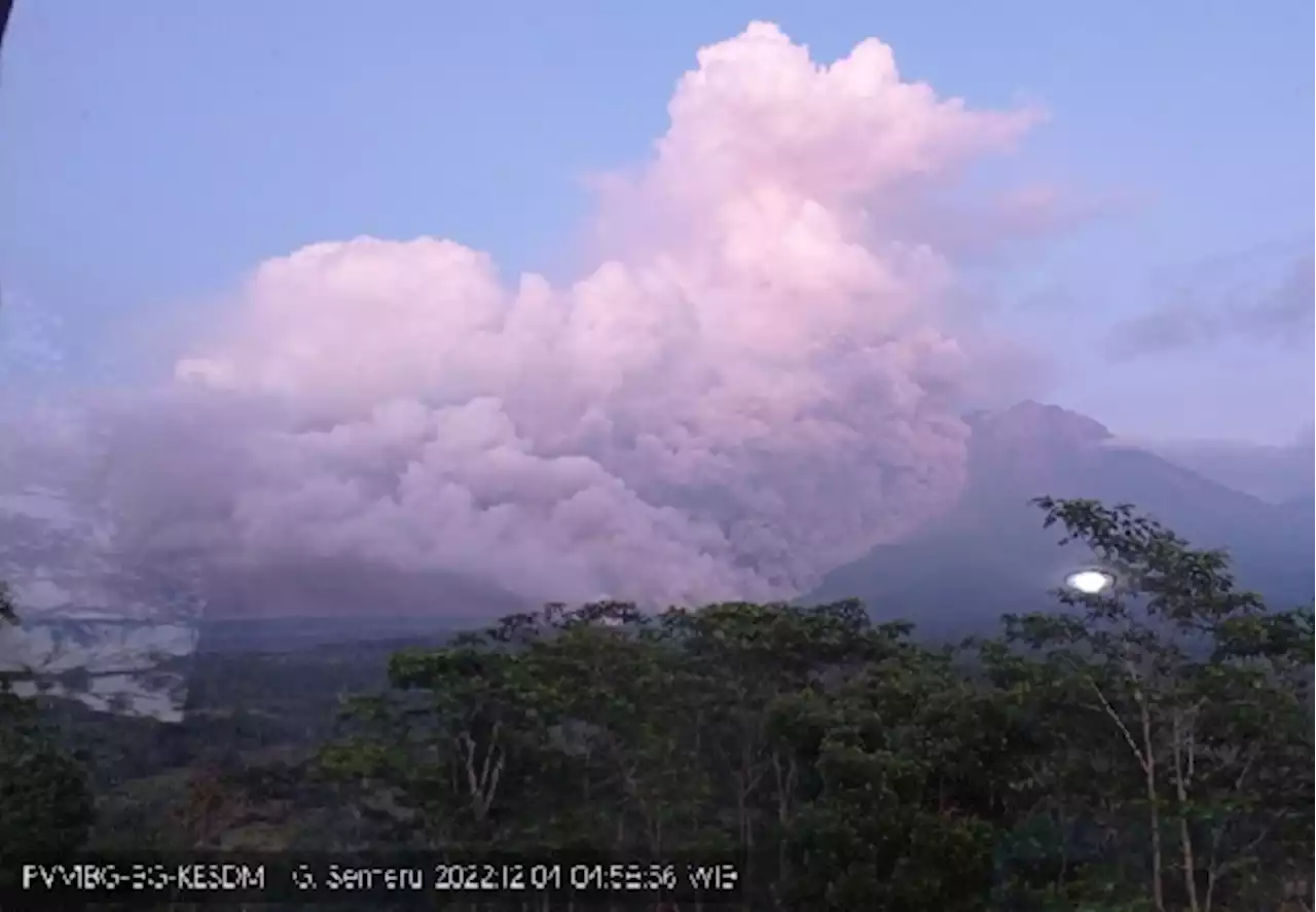 Erupsi dan Keluarkan Awan Panas, Status Gunung Semeru Siaga Level III