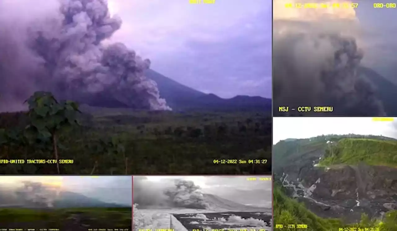 Video Detik-detik Gunung Semeru Erupsi, Terekam Jelas Luncuran Awan Panas