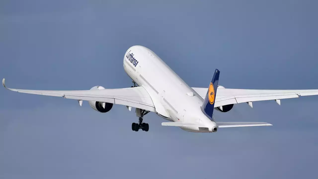 Lufthansa-A350 muss in Angola notlanden – deutscher Augenzeuge berichtet