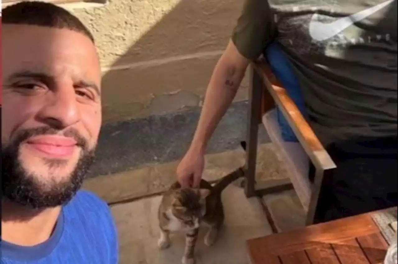 England star Walker jokes he'll adopt 'Dave' the cat if they win the World Cup