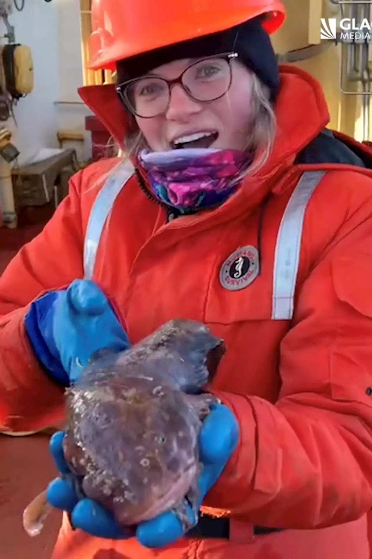 Watch: Life as a marine biologist in the Canadian Arctic