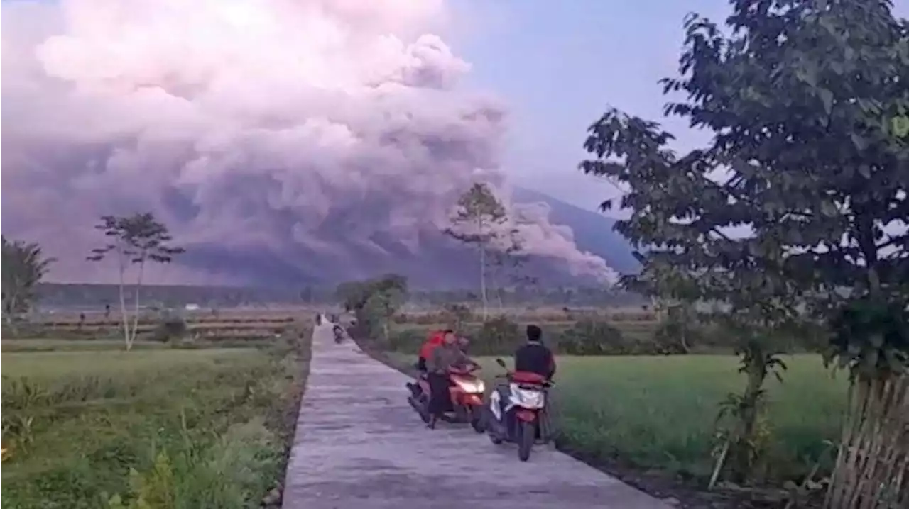 Update Kondisi Gunung Semeru Pasca Erupsi, Sempat Terjadi 8 Gempa Letusan - Surya.co.id