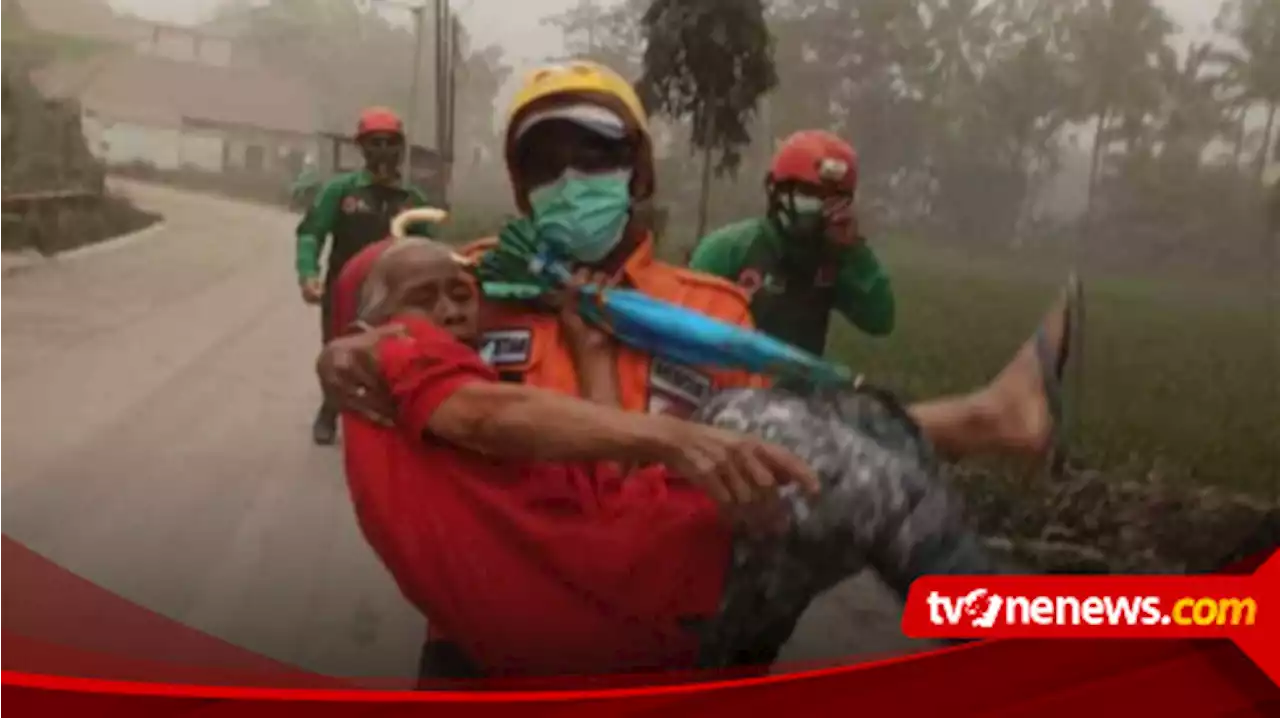 Update Pantauan Jepang soal Efek Erupsi Gunung Semeru yang Dikhawatirkan Sebabkan Tsunami