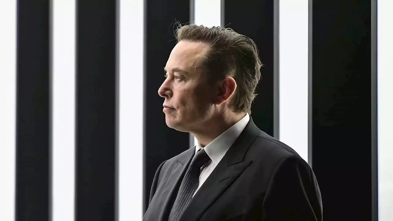 Elon Musk's 'Twitter files': Emails reveal internal struggle on handling of Hunter Biden laptop