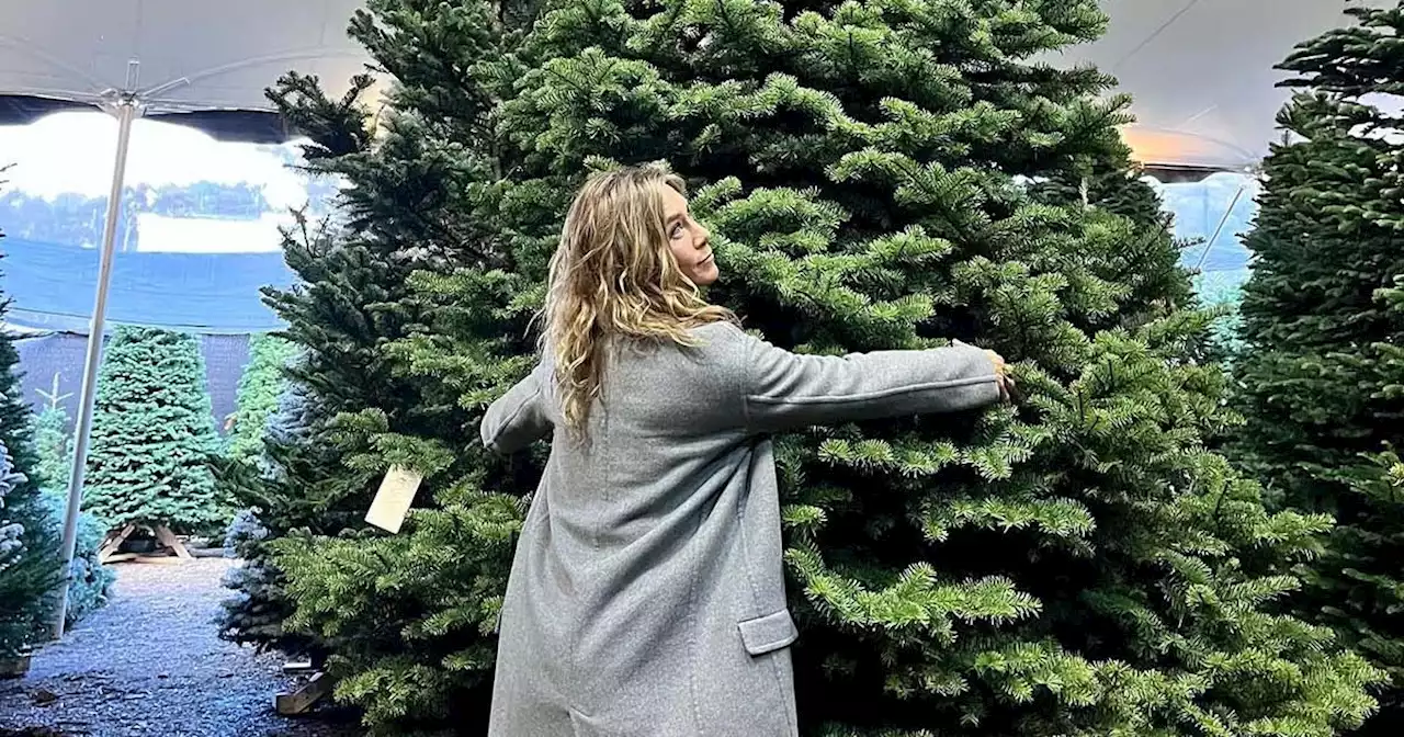 Celebrities Visiting Christmas Tree Farms in 2022: Jennifer Aniston, More