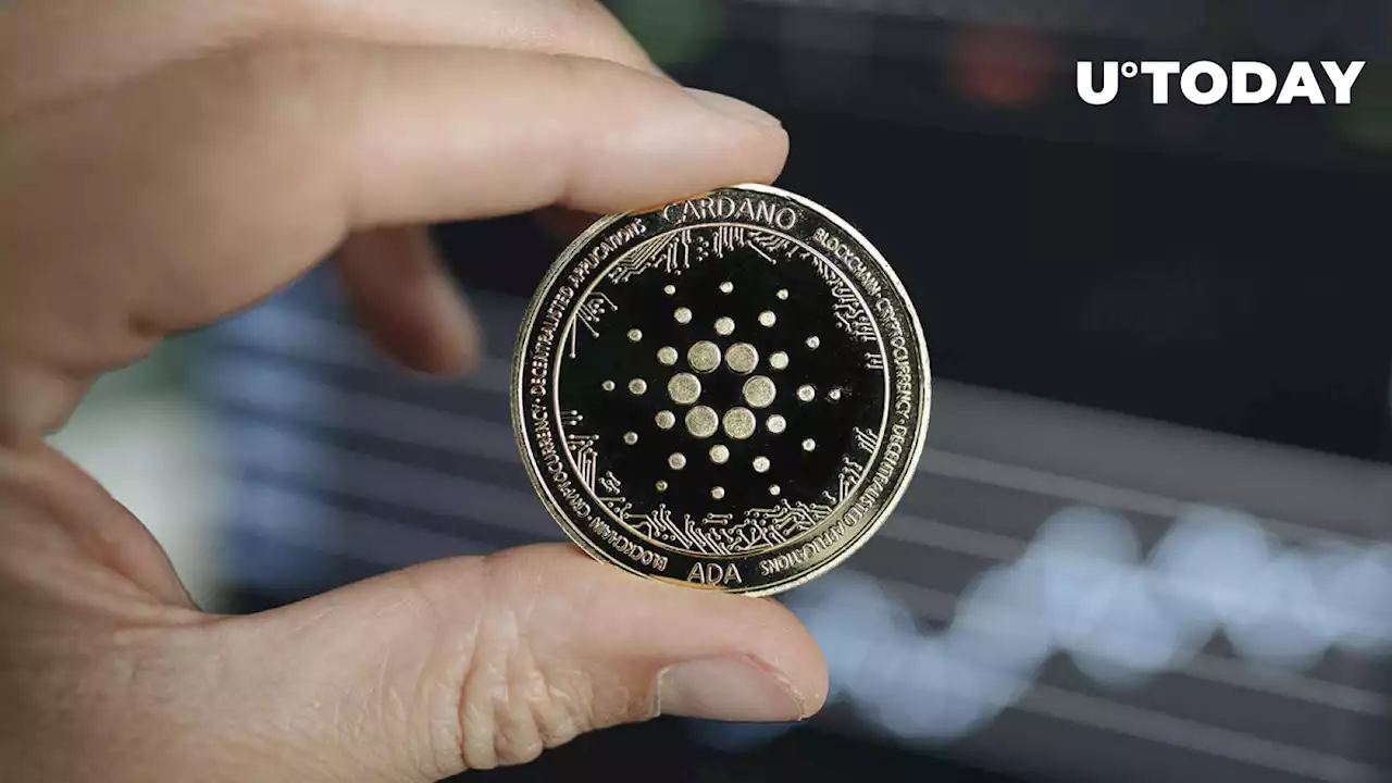 These Investors Buying Up Cardano (ADA) En Masse, What Is Their Plan?