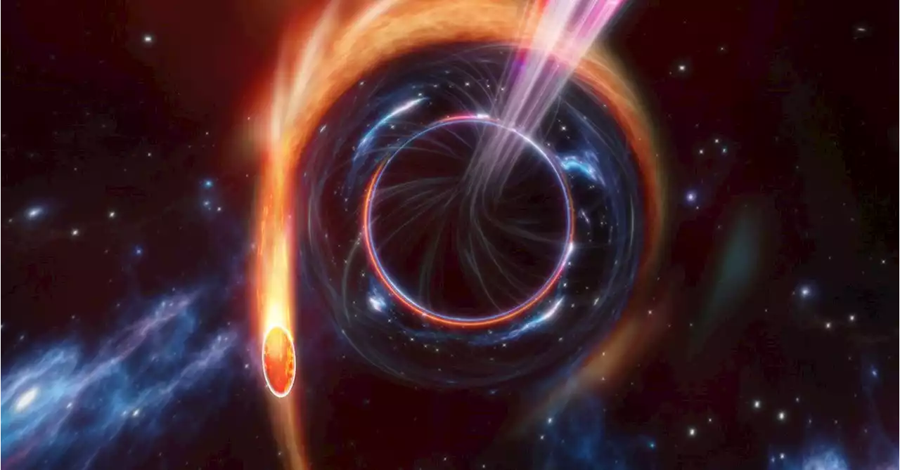 A black hole ripped apart a star and brought together astronomers from around the world