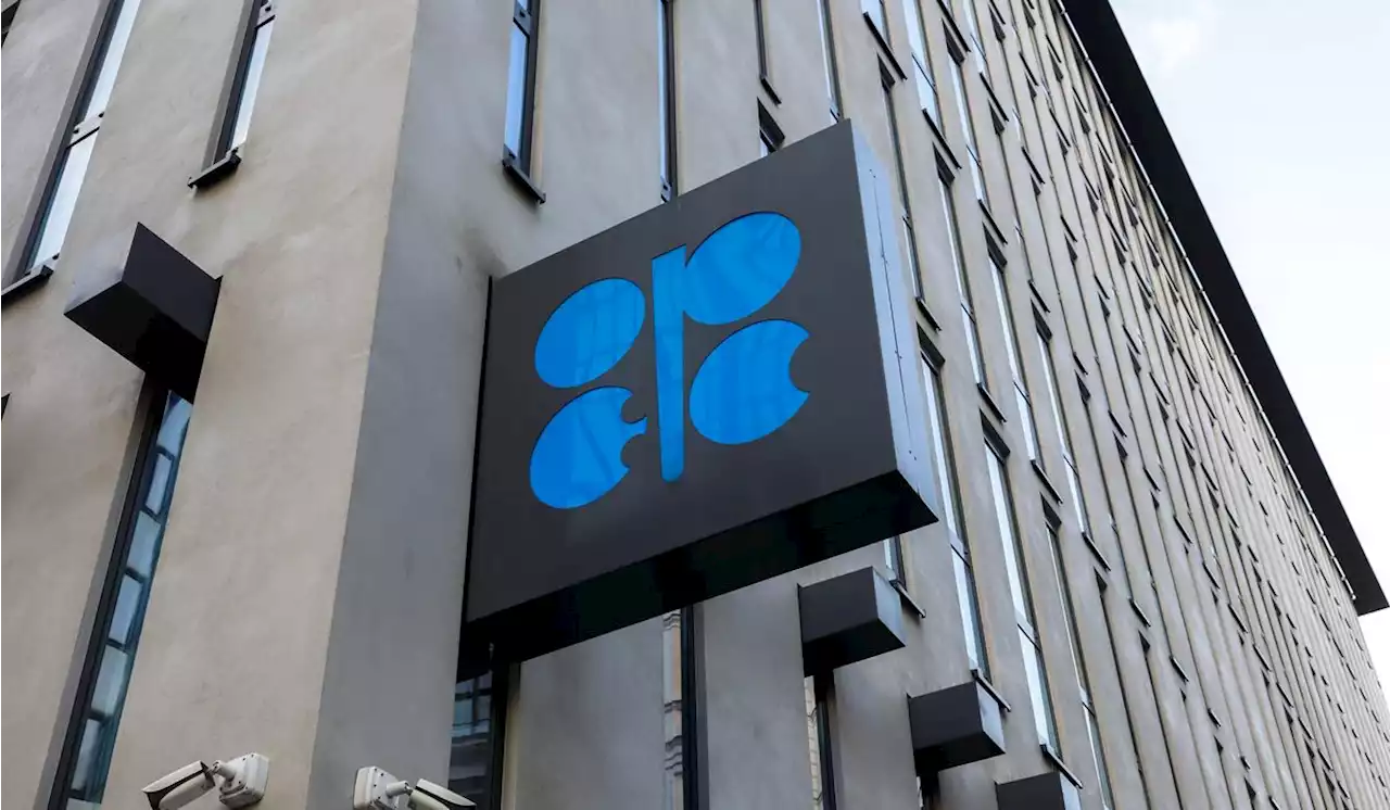 OPEC+ oil producers face uncertainty over Russian sanctions