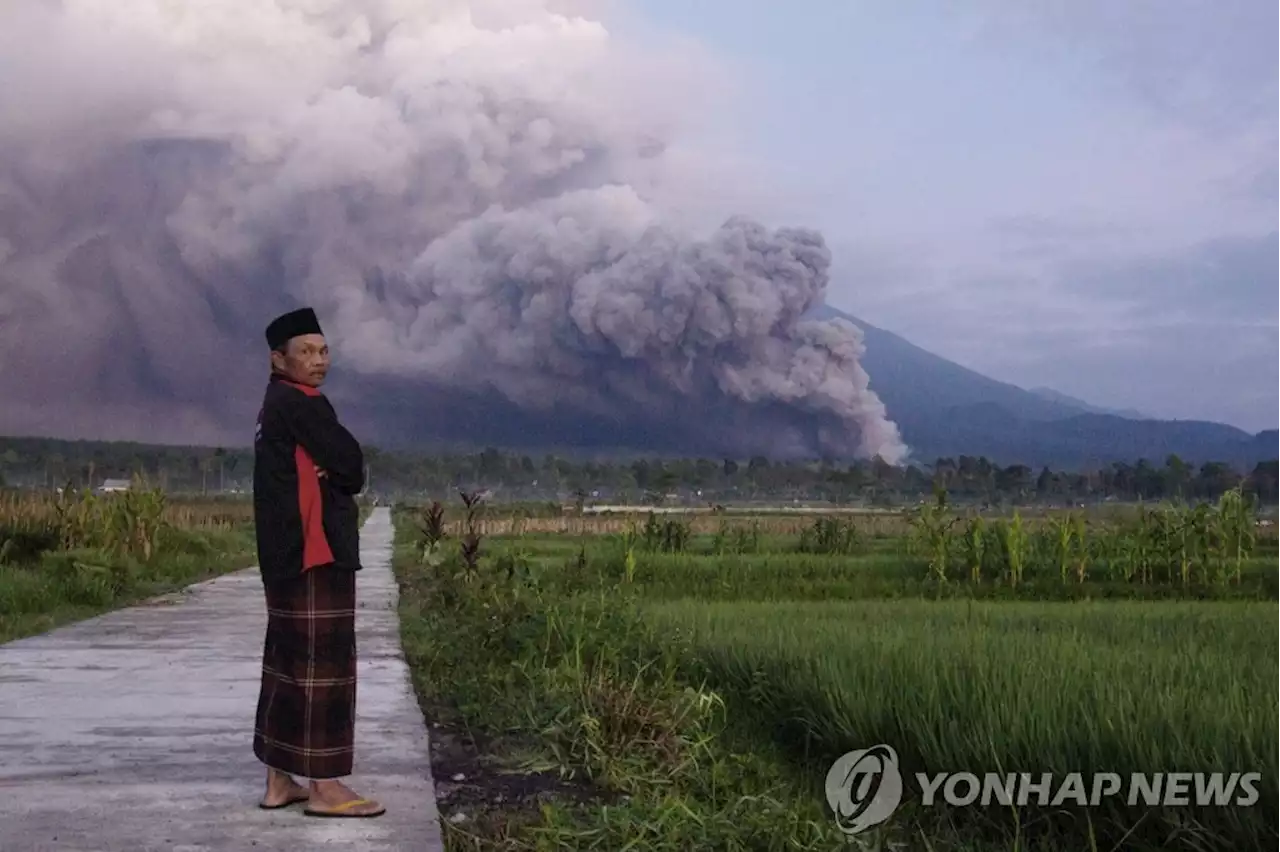 인니 스메루 화산 분화에 최고 경보 발령…주민 2천명 대피(종합) | 연합뉴스