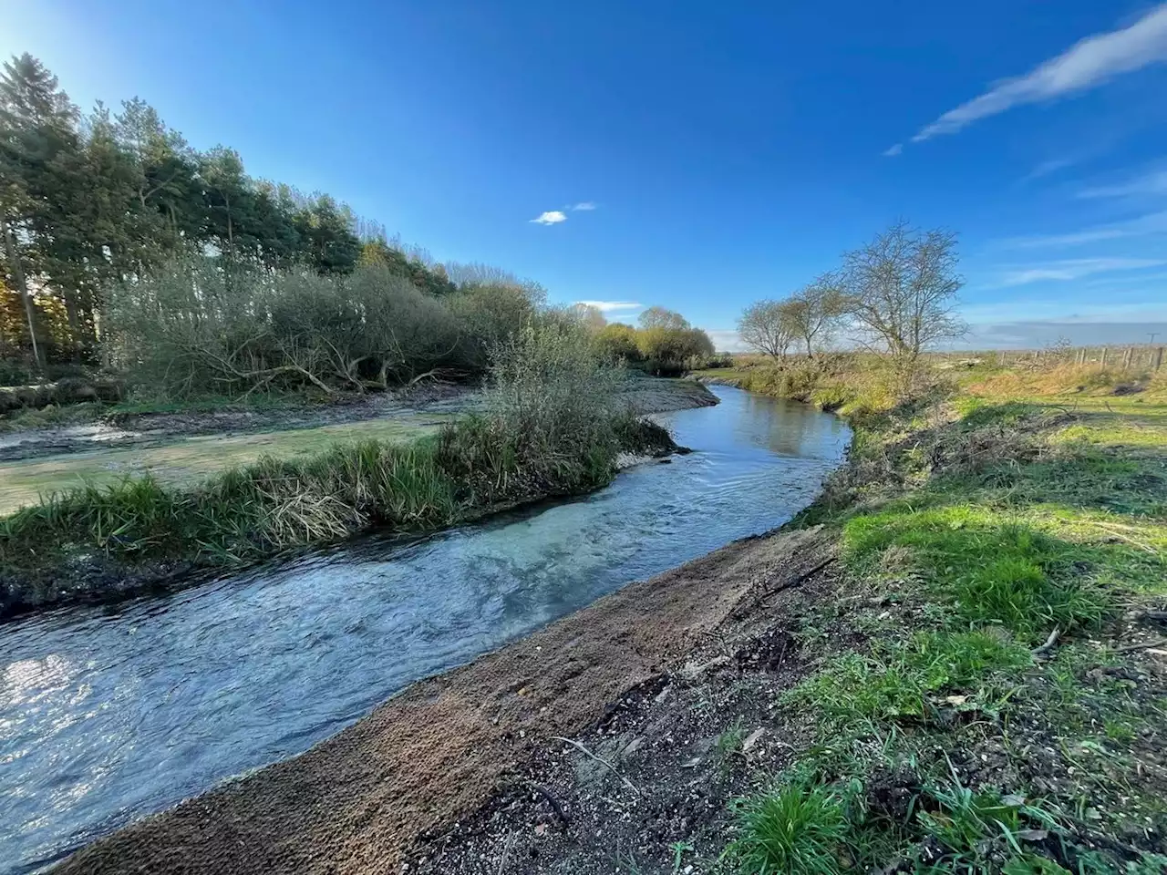 Why Yorkshire is important to a globally rare eco-system as restoration plans are revealed