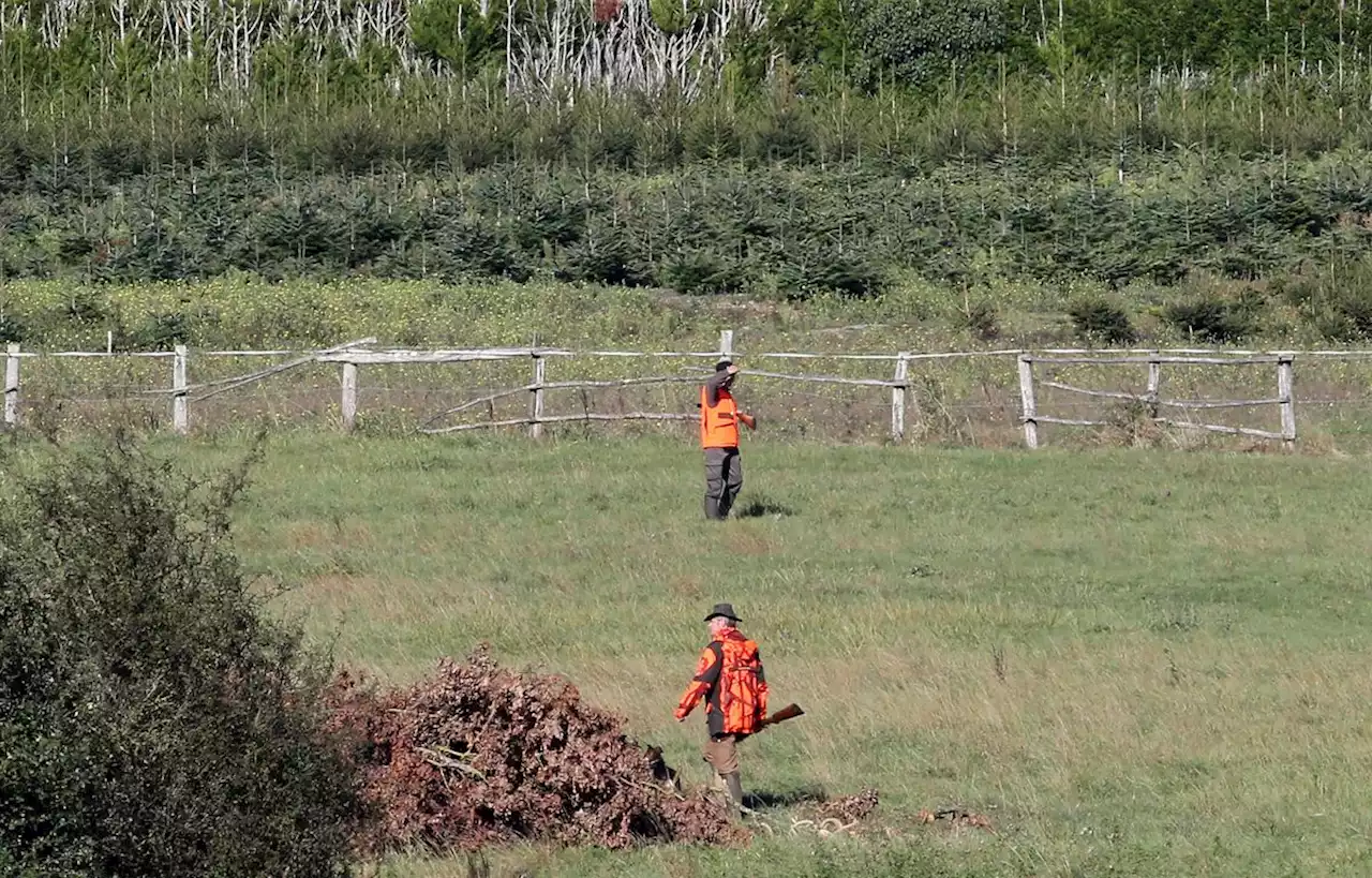 Un homme grièvement blessé lors d’un accident de chasse