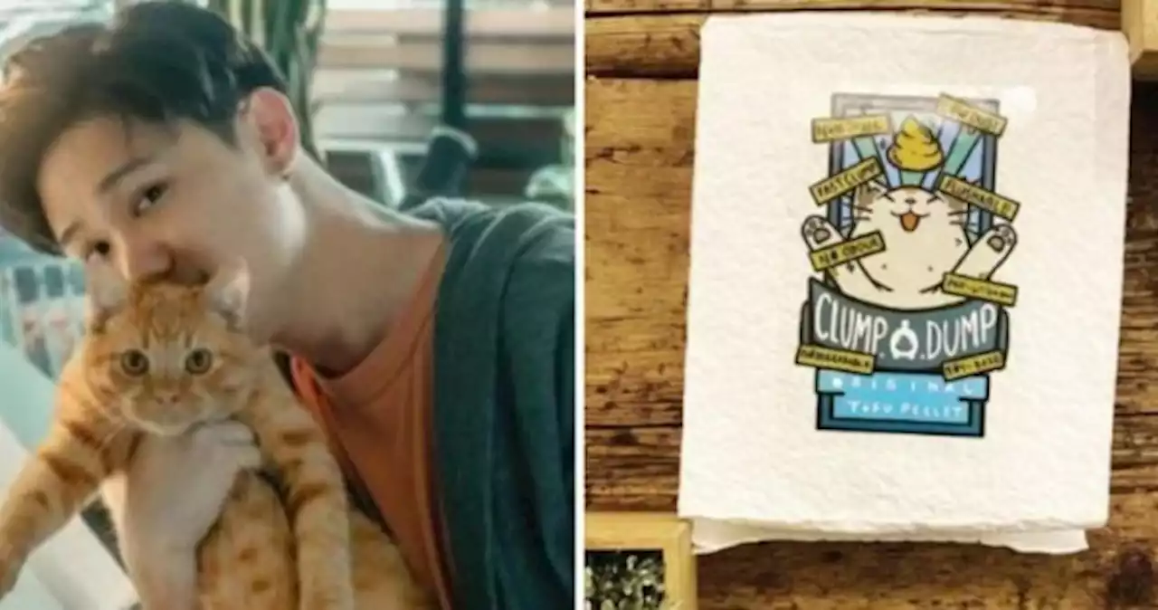 Chen Xi has new side hustle selling soya-based kitty litter