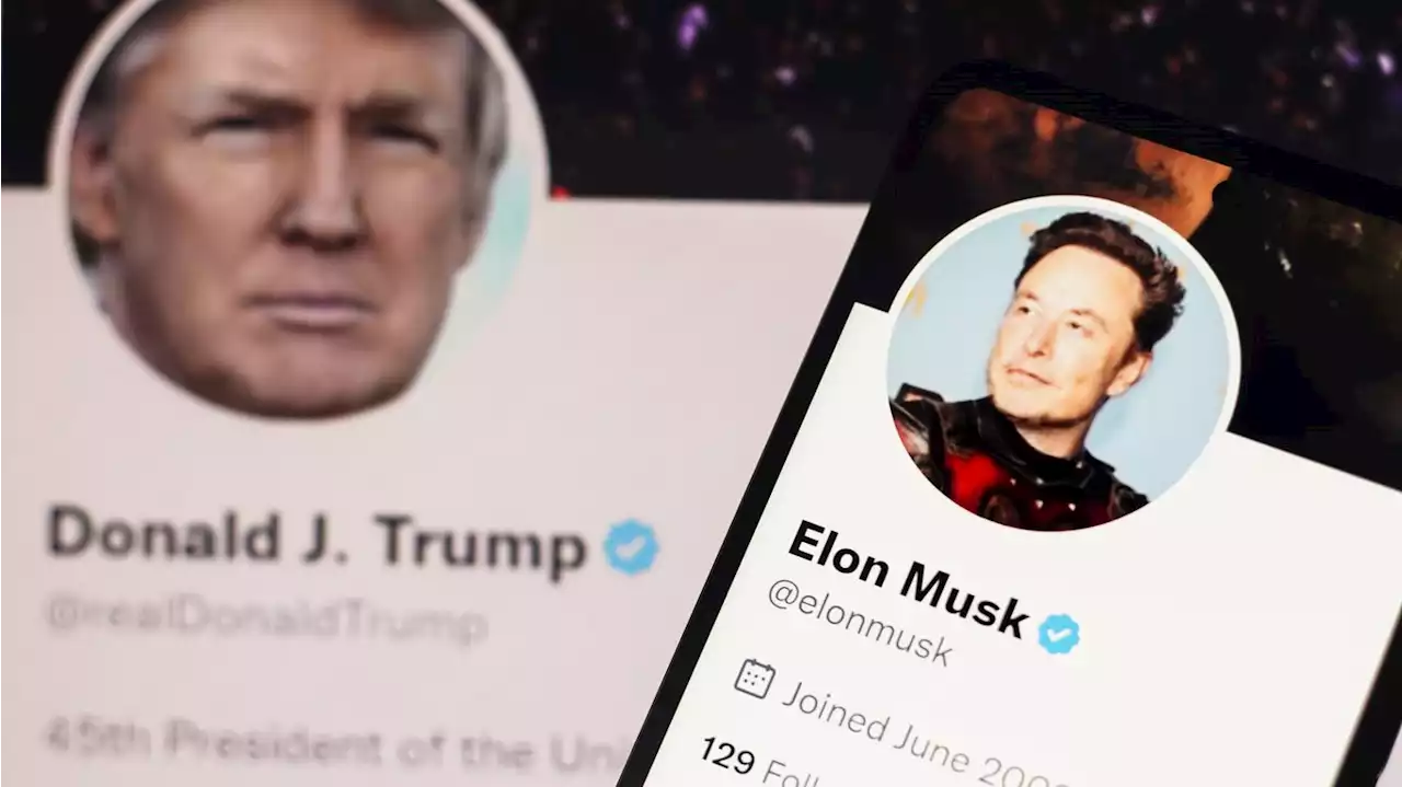 'End of story': Elon Musk responds to Trump's 'Twitter Files' reaction