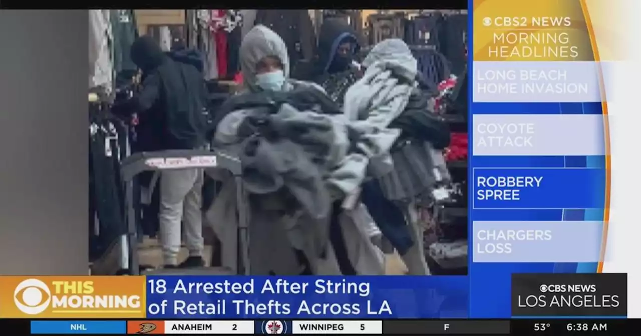 LAPD: 18 people arrested in retail-store swarm thefts case