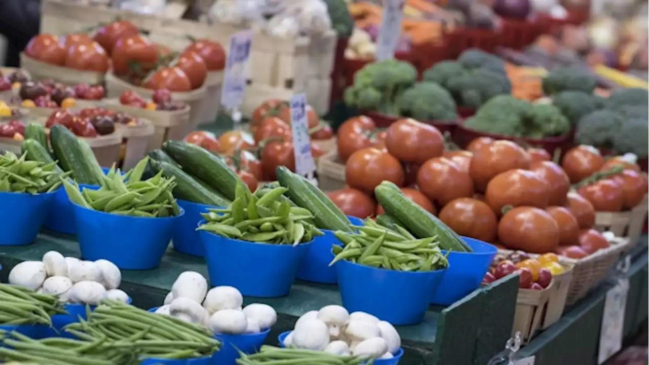 Food prices in Canada to continue to rise in 2023: report