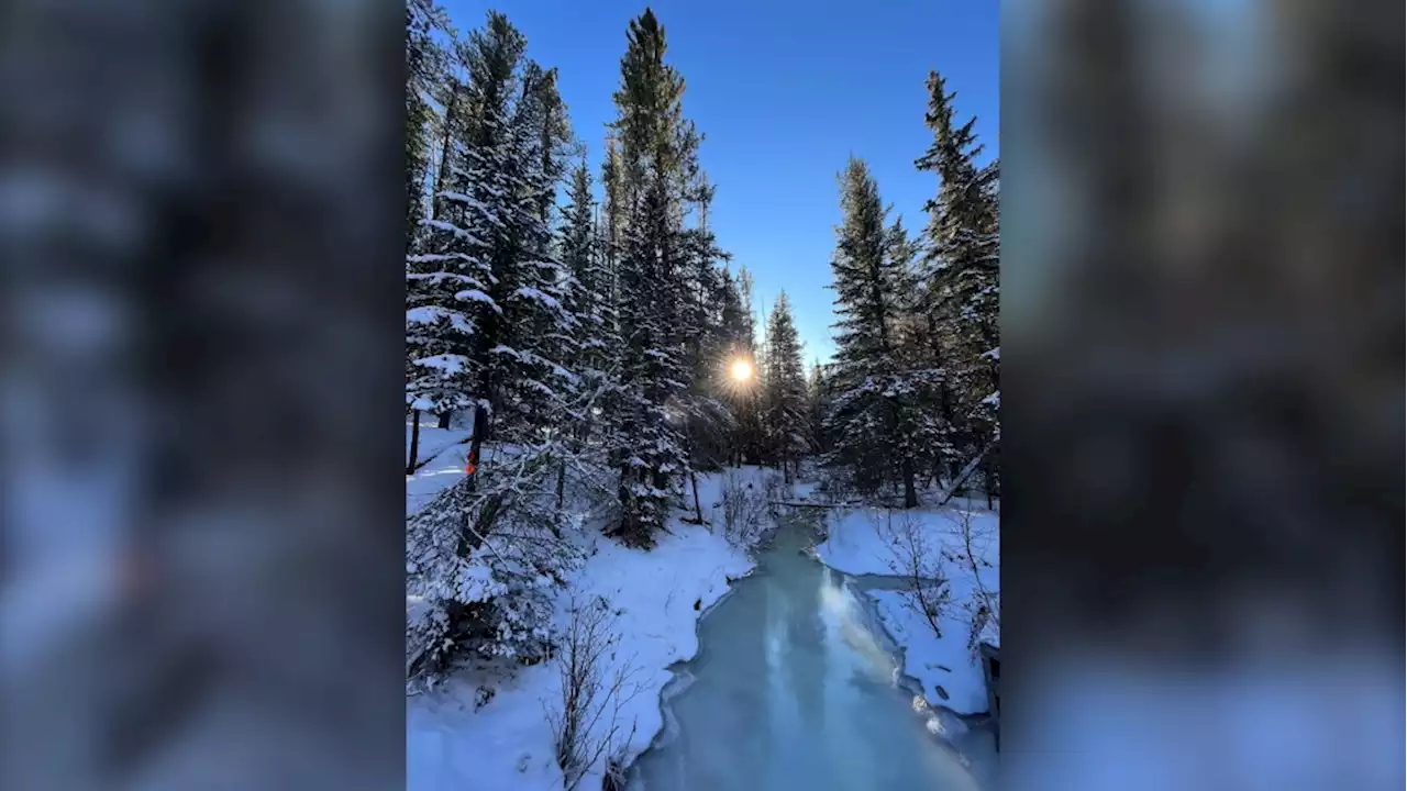 Calgary's forecast: 5 cm of snow and cool to start the week