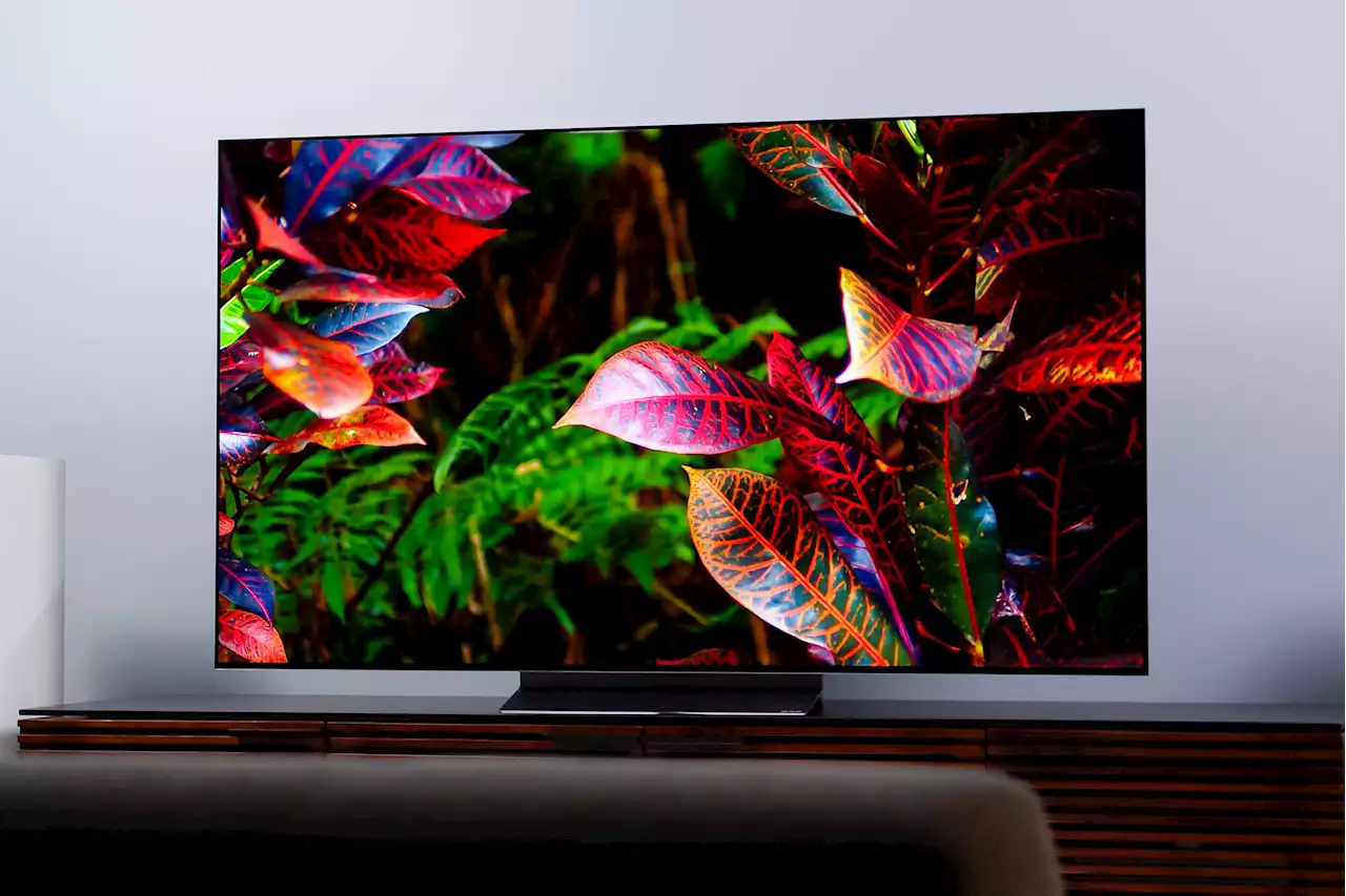 The best OLED monitors you can buy | Digital Trends