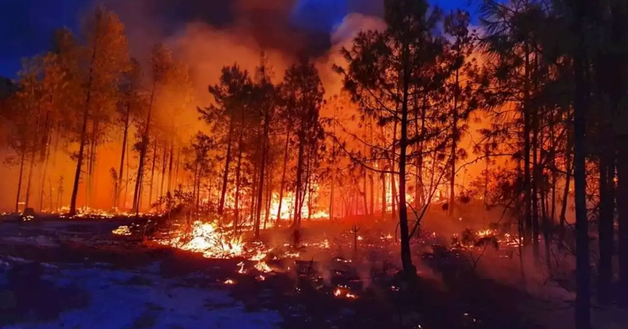 Sistema de Alerta Temprana de Incendios Forestales aumenta sus herramientas