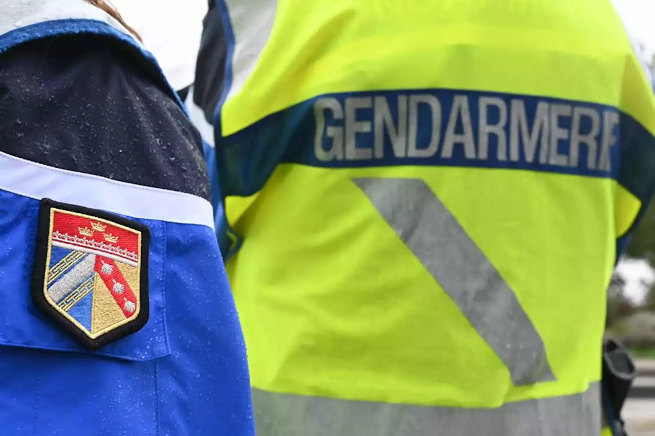 Démantèlement d'un trafic de stupéfiants dans le Gard, deux femmes condamnées