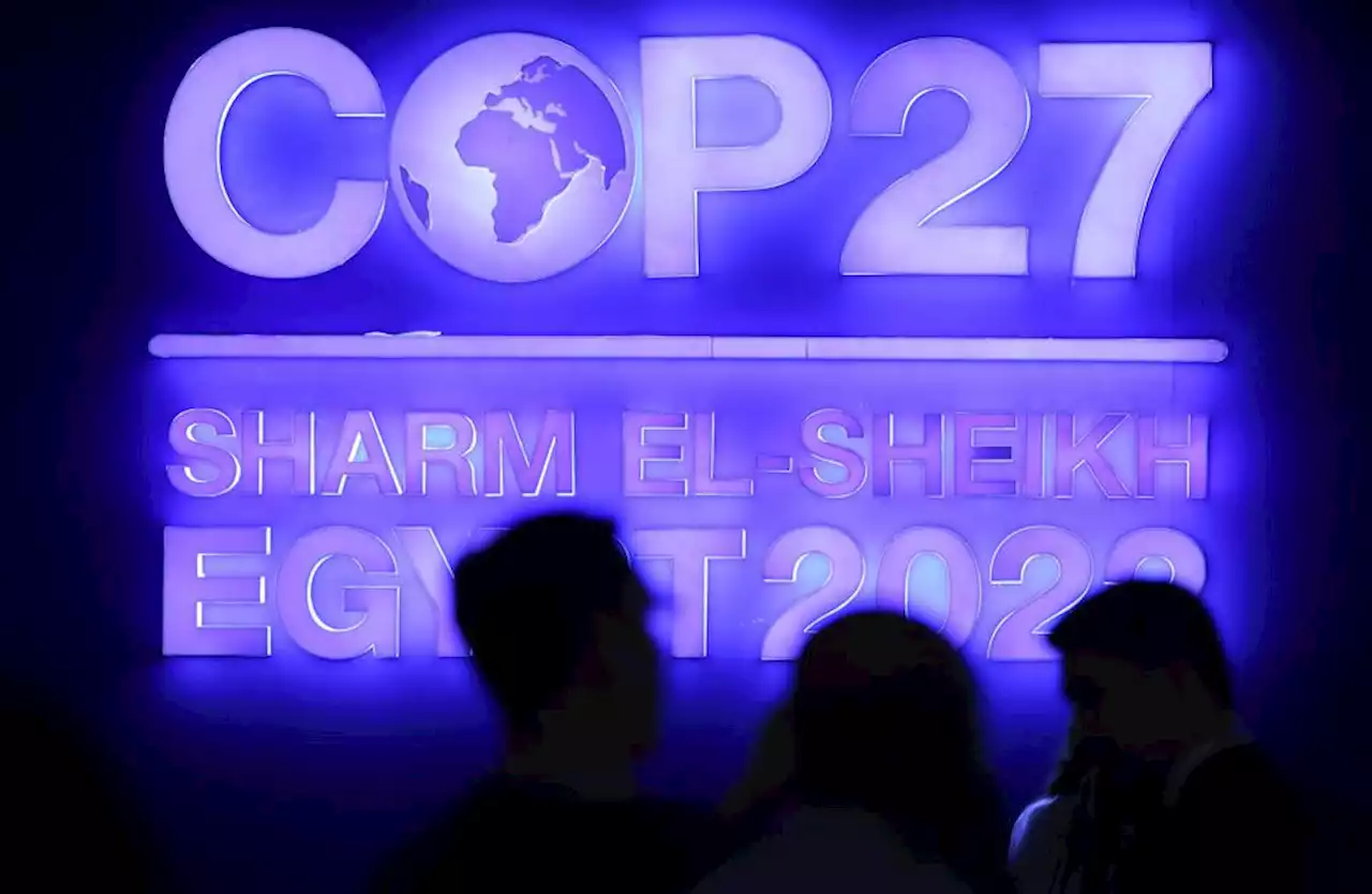 How To Reboot Climate Policy After COP27: Five Models Of Policy Making