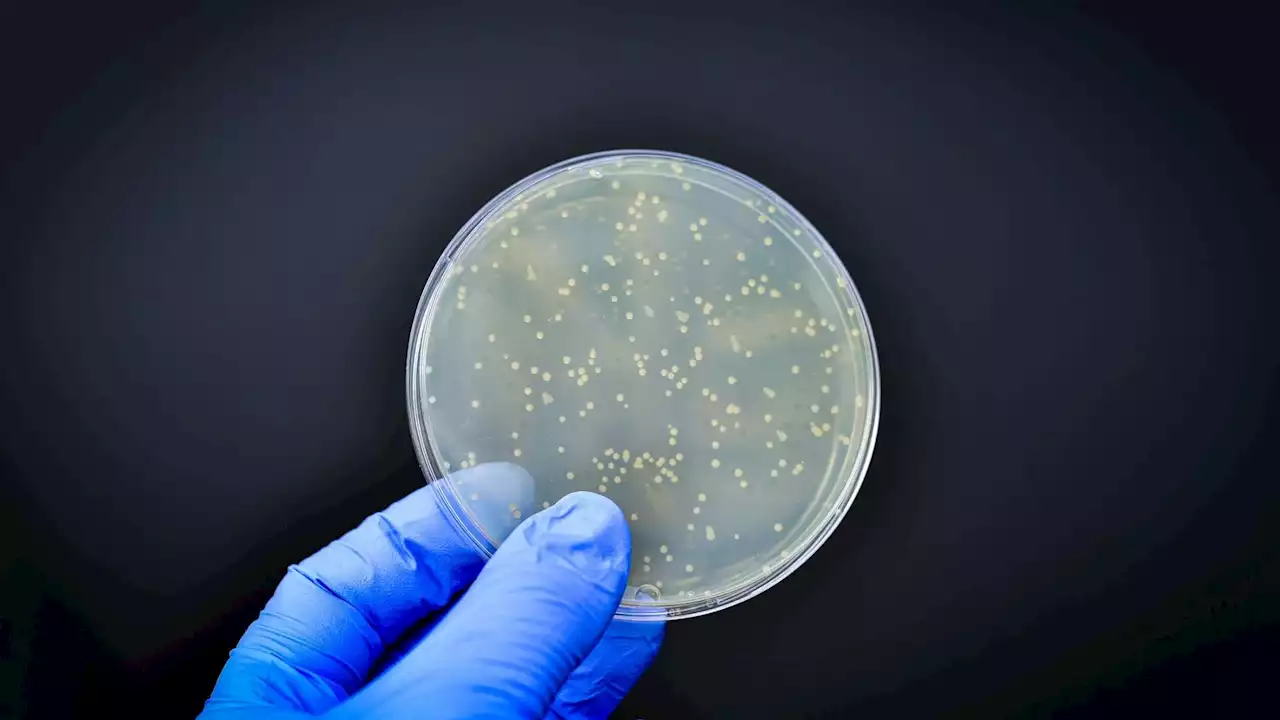 Researchers discover never-before-seen mechanism bacteria use to resist antibiotic treatment