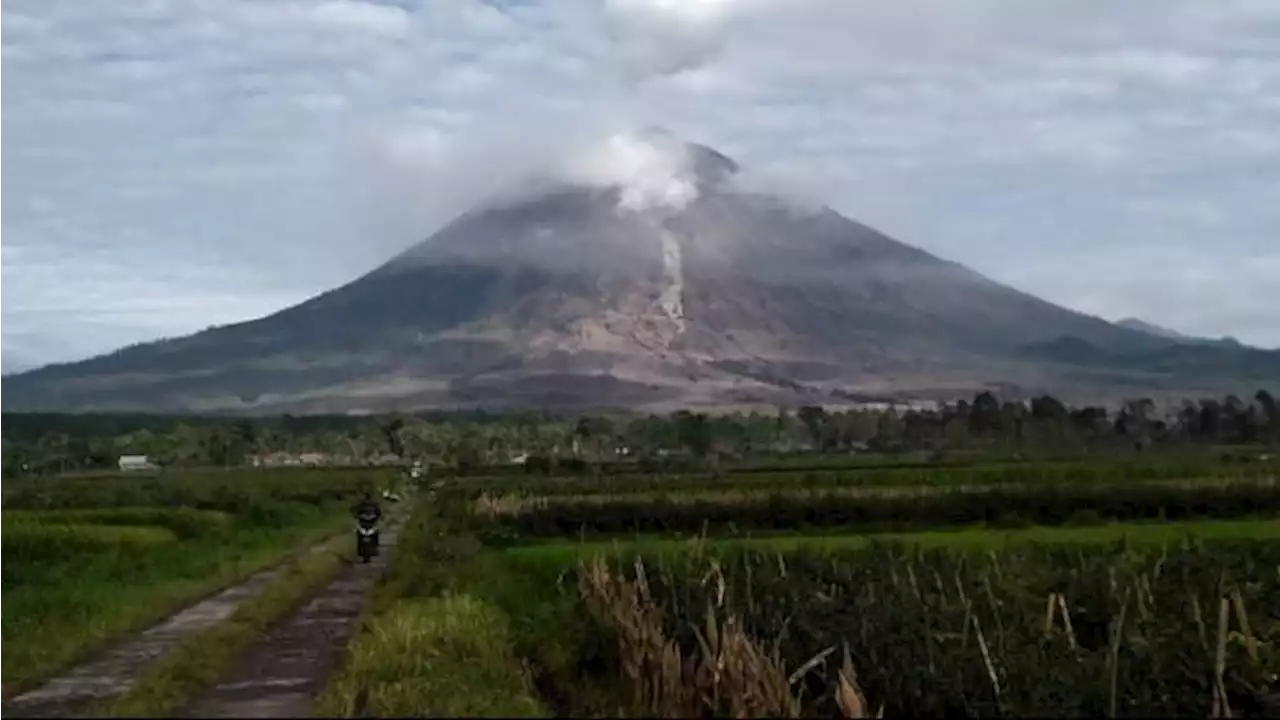 BNPB Sebut Analisis Potensi Tsunami dari Letusan Gunung Semeru Sudah SOP dari JMA