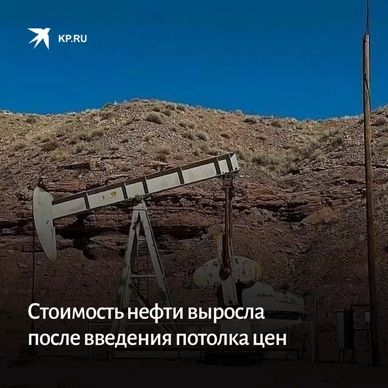 Стоимость нефти выросла после введения потолка цен