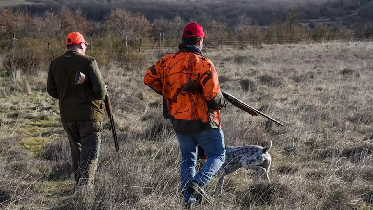 Accident de chasse dans le Gard : un chasseur blessé à la tempe par un tir