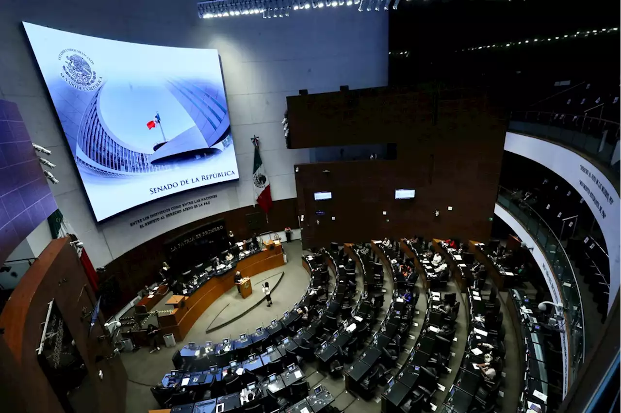 Senadores de Morena piden a diputados considerar aumento de vacaciones